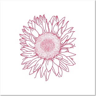 Viva Magenta Sunflower Floral Line Drawing Posters and Art